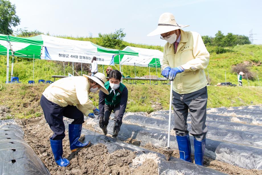 210609_4-H연합회 사랑의 메주콩 심기 _0010