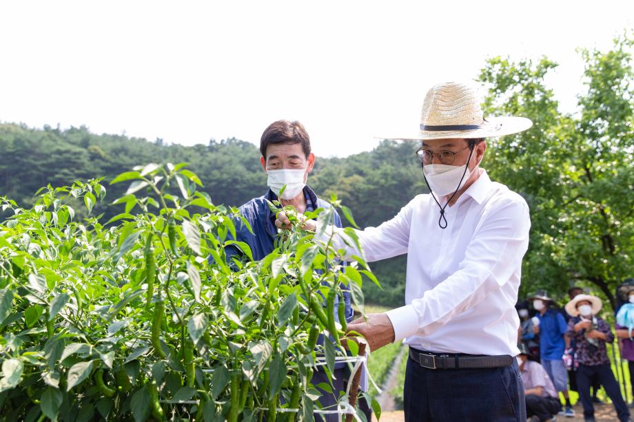 210728_고추농가 교육 현장 방문_0002
