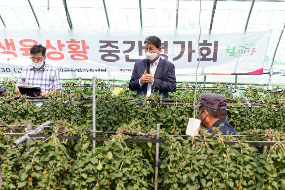 210730_구기자 생육상황 평가회_0002