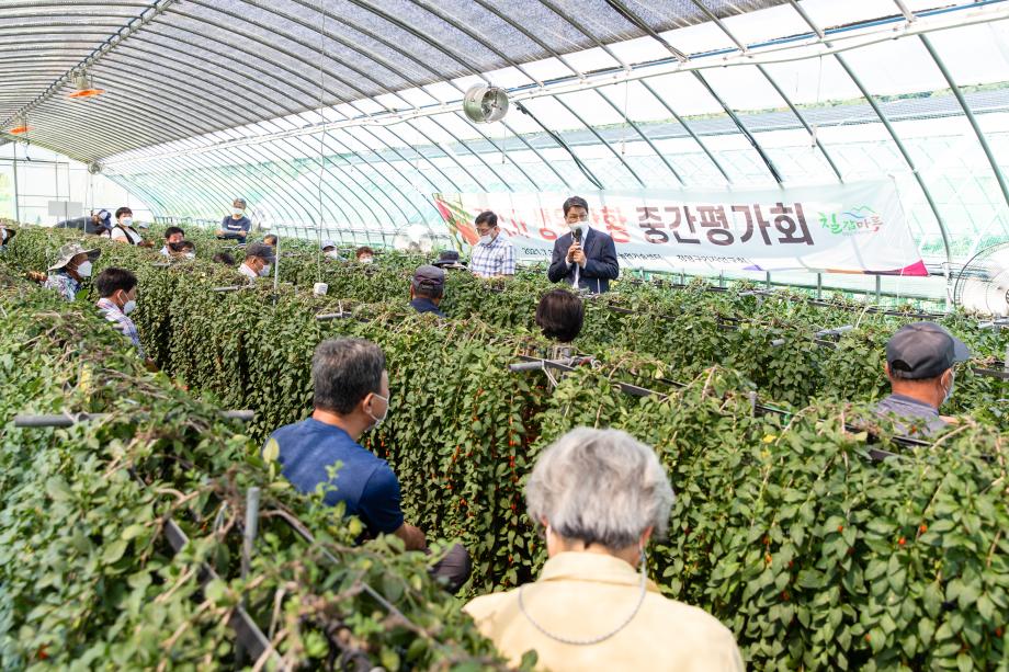 210730_구기자 생육상황 평가회_0003
