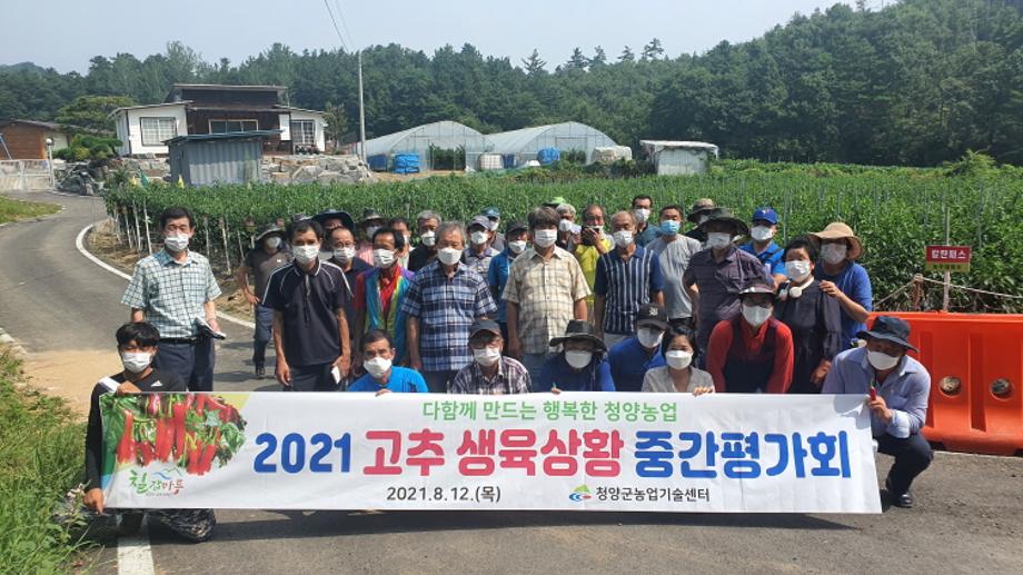 2021 고추 생육상황 중간평가회