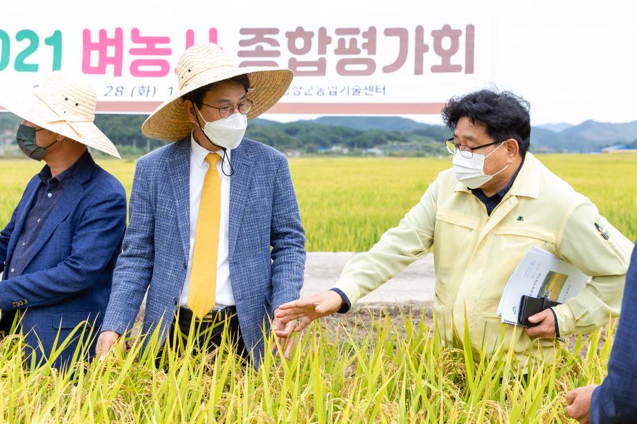 210928_벼농사 종합평가회_0008