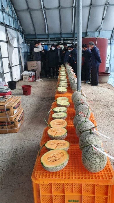 크기변환1_사본 -청양군 농업인대학 멜론반 현장 교육 추진