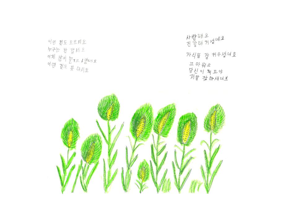 _롟뀯_솽꼱_ａ녅__뚡뀳_뗡뀱_솽꼳___귗뀬_뚡뀿__묃뀰_뗡뀿_뚡뀿_05