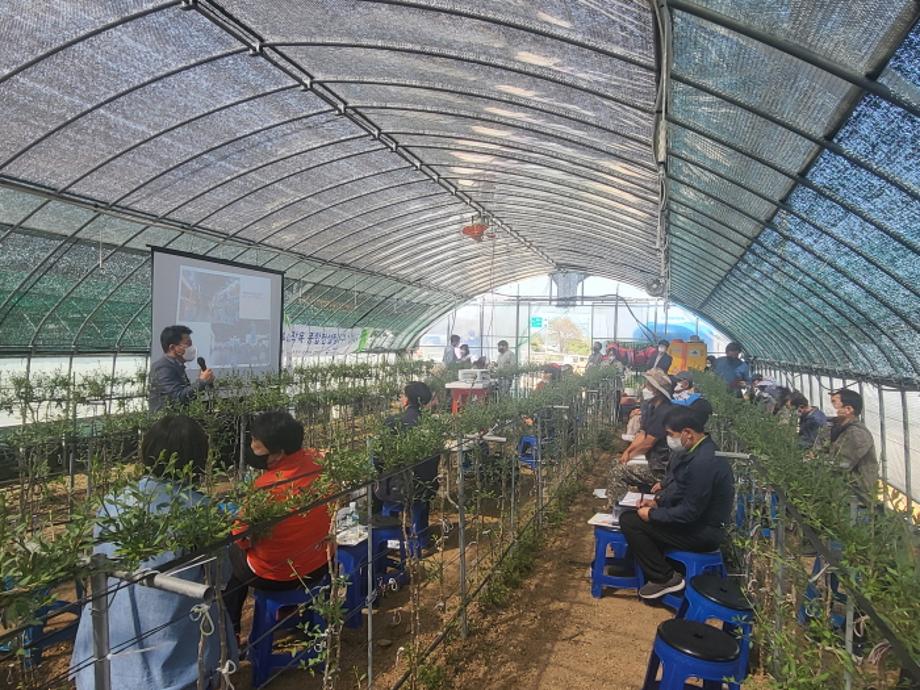 구기자 종합커설팅 (3)