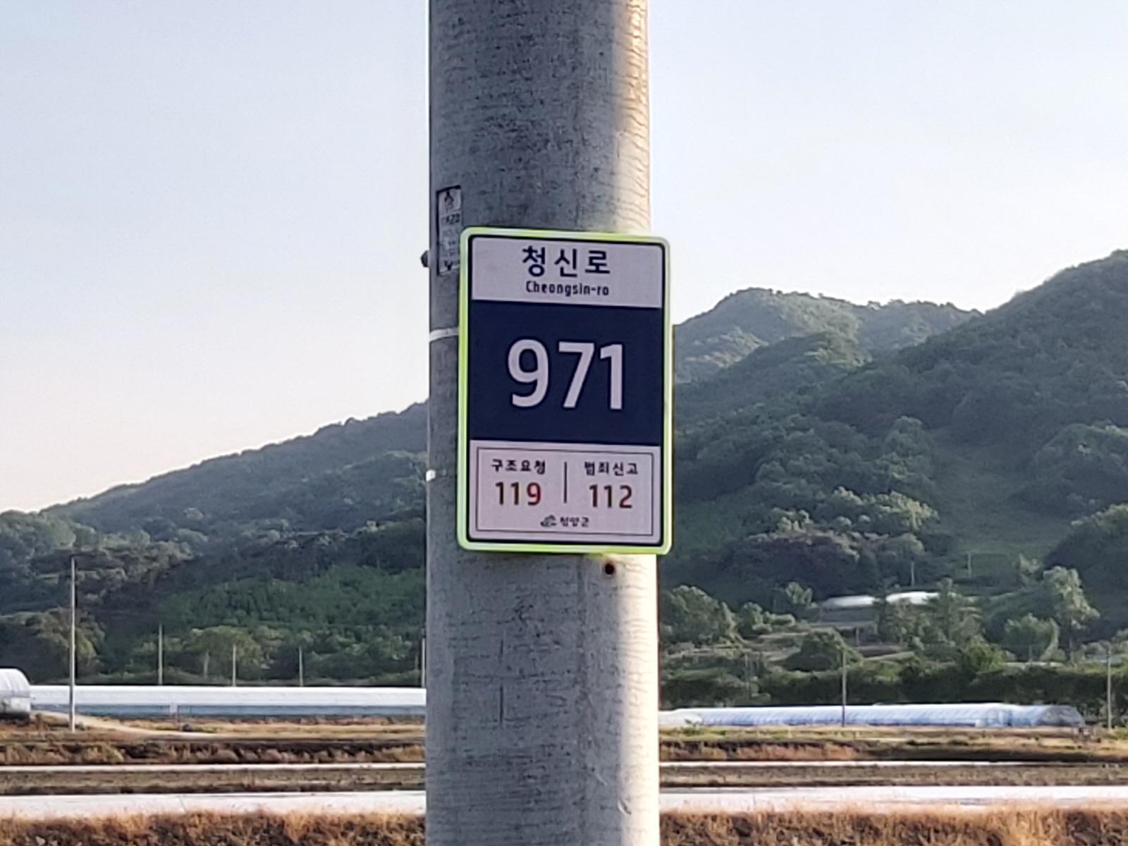 청신로971 (근)