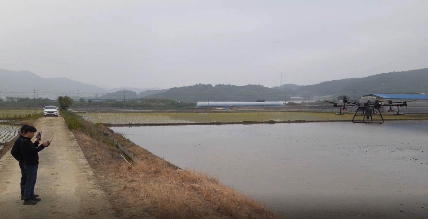 드론이용 벼 직파재배로 스마토 농업에 앞장서