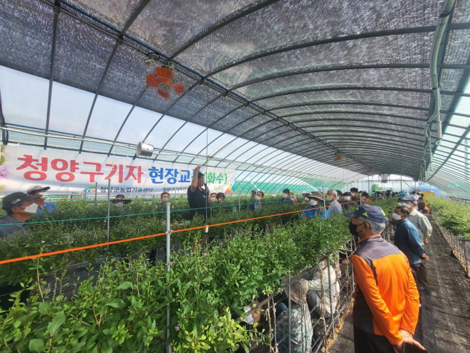 구기자 GAP 인증교육 (2)