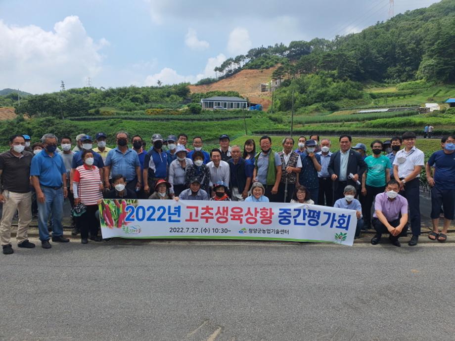 고추중간평가회1