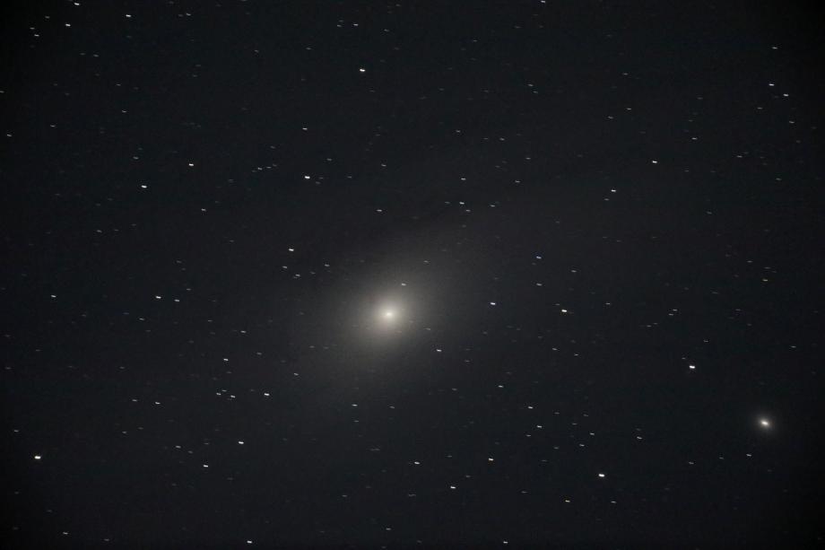 M31