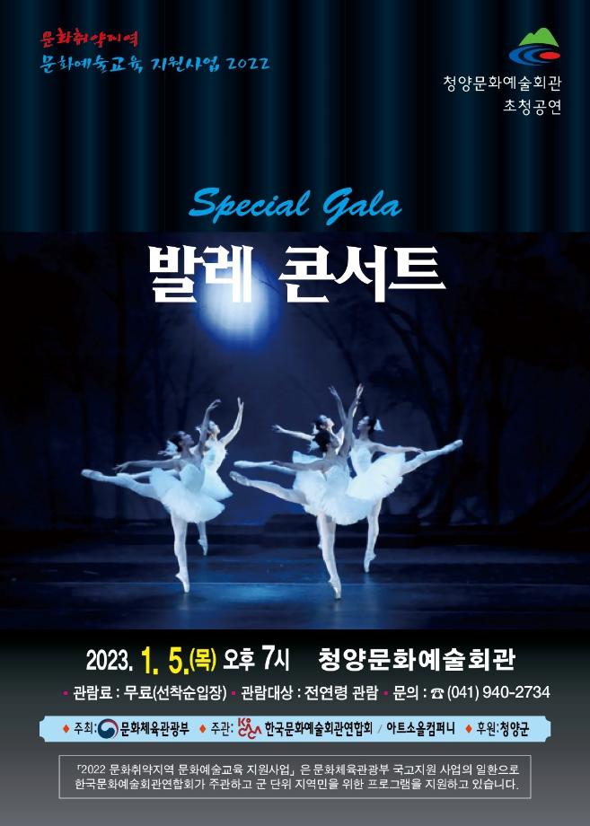 사본 -포스터(발레콘서트)