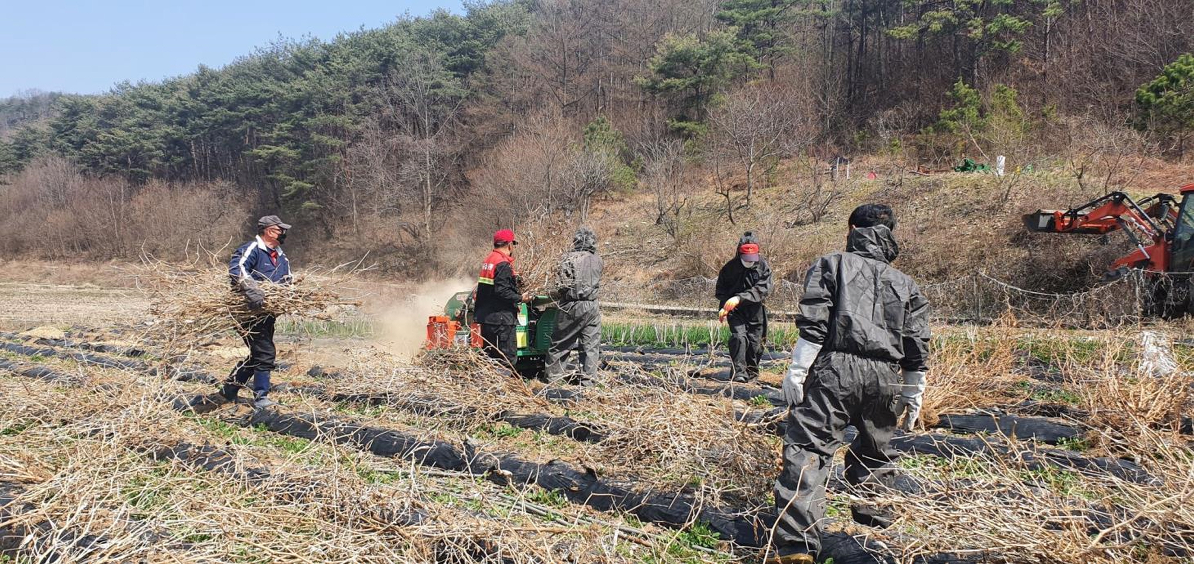 청양군 산불위험 논․밭두렁 소각 자제 당부-영농부산물 파쇄