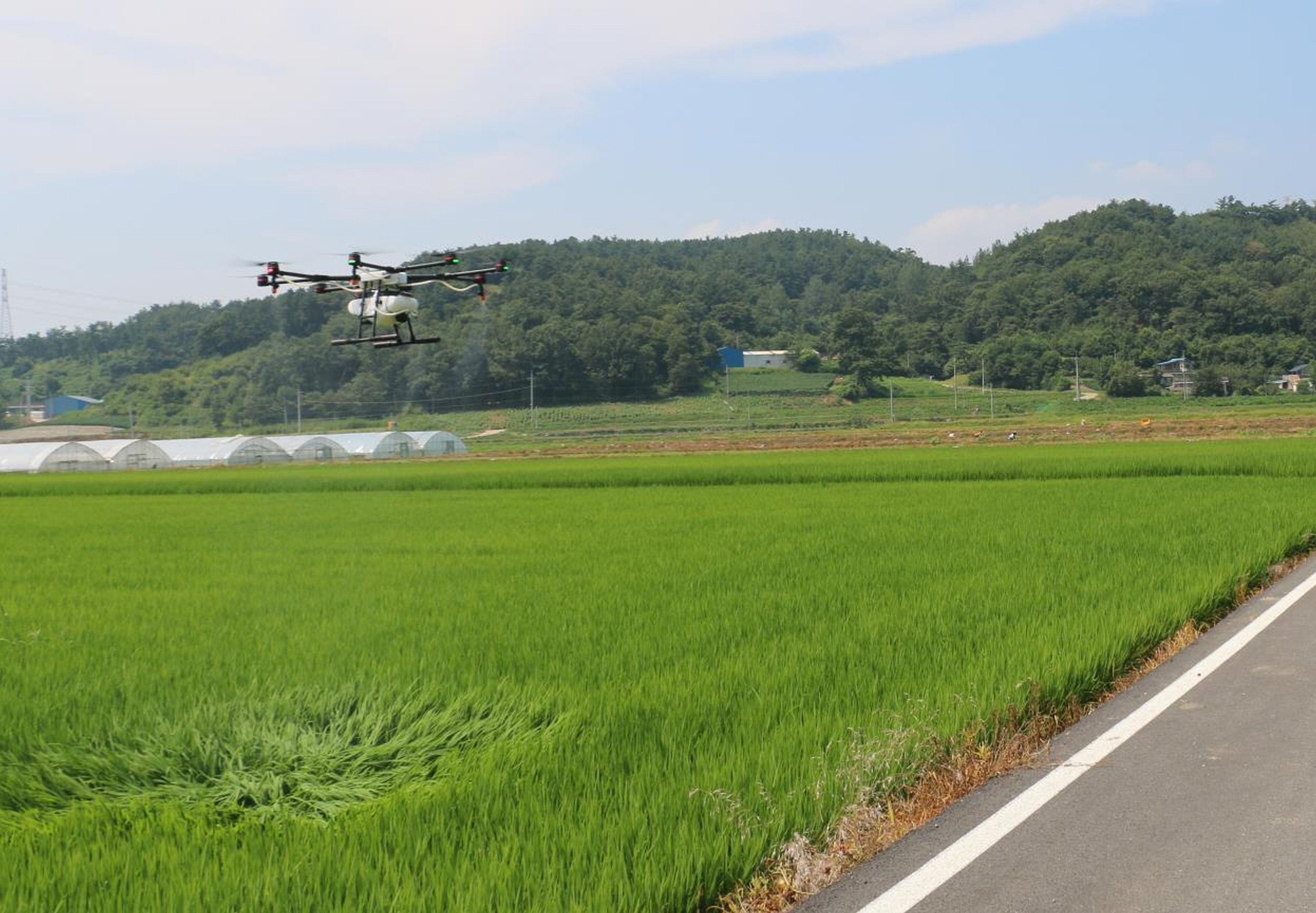 청양군, 벼 병해충 동시 방제 약제 공급-드론 방제