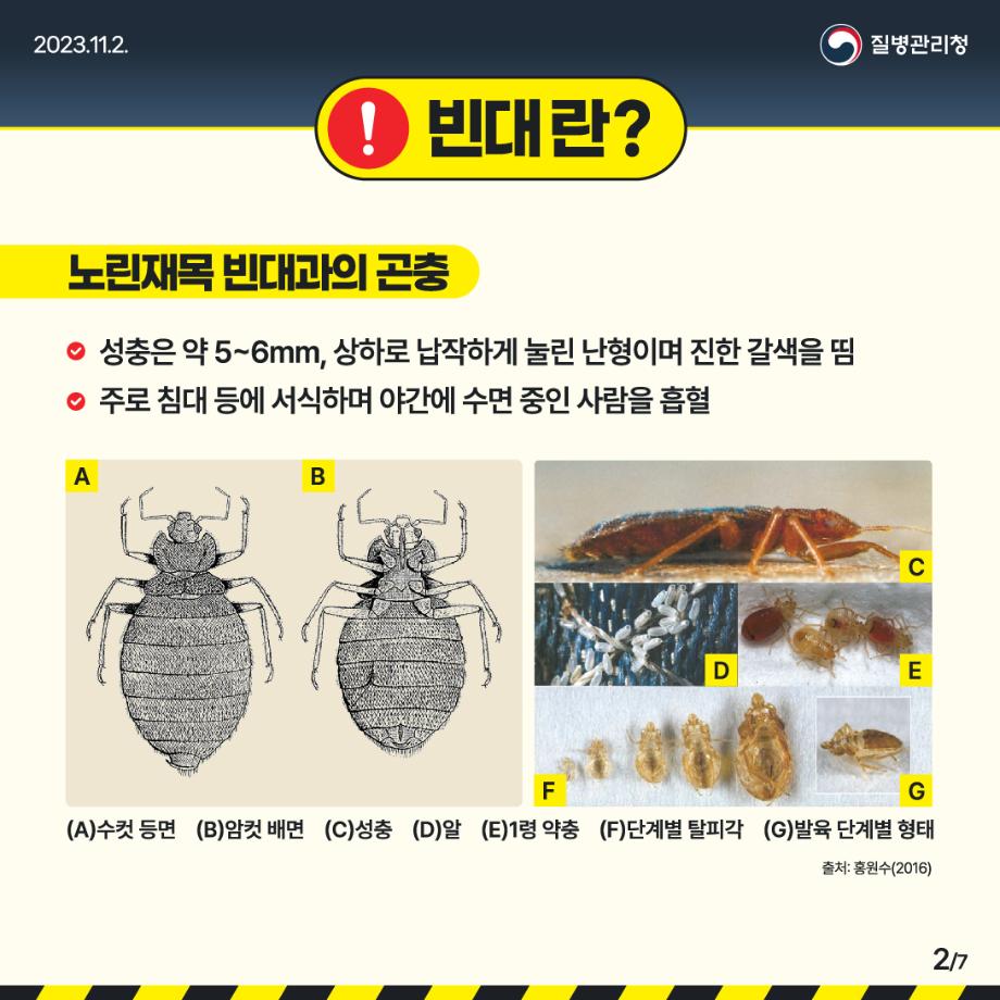 231102_[KDCA]_빈대 예방 카드뉴스_JPG_2
