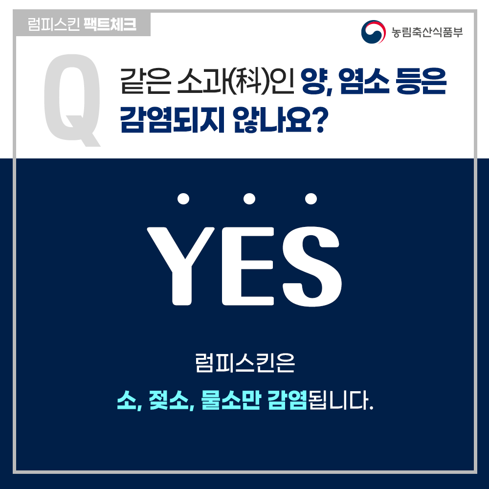 10 내지.png