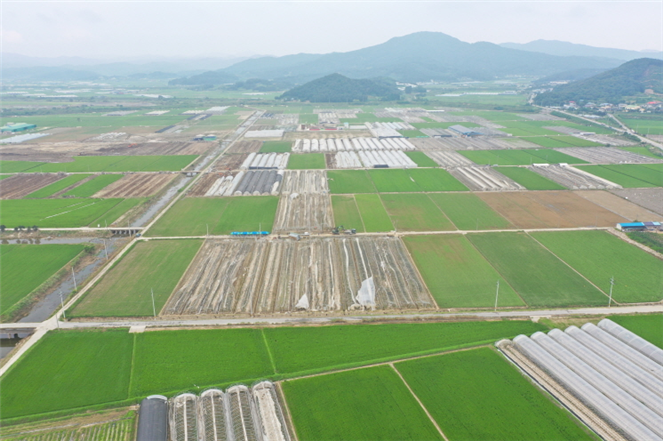 청남면 수해복구 현장(복구전).png