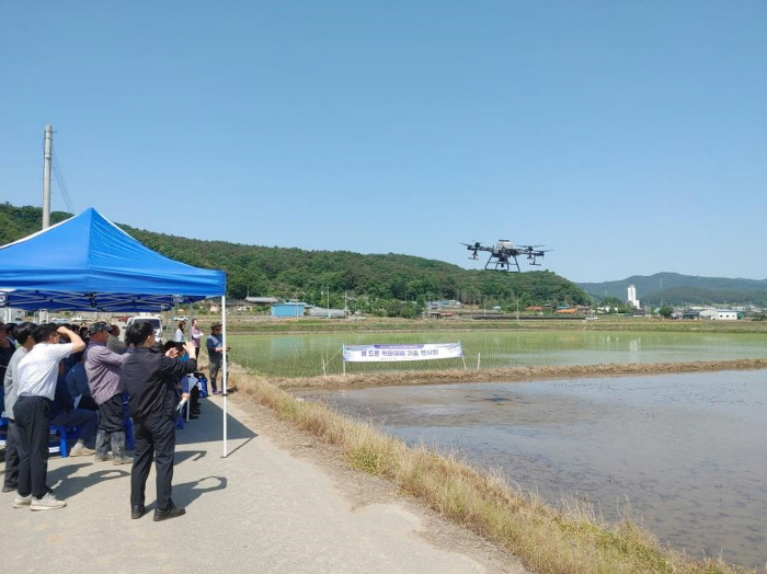 청양지역 벼 직파재배 면적 해마다 증가