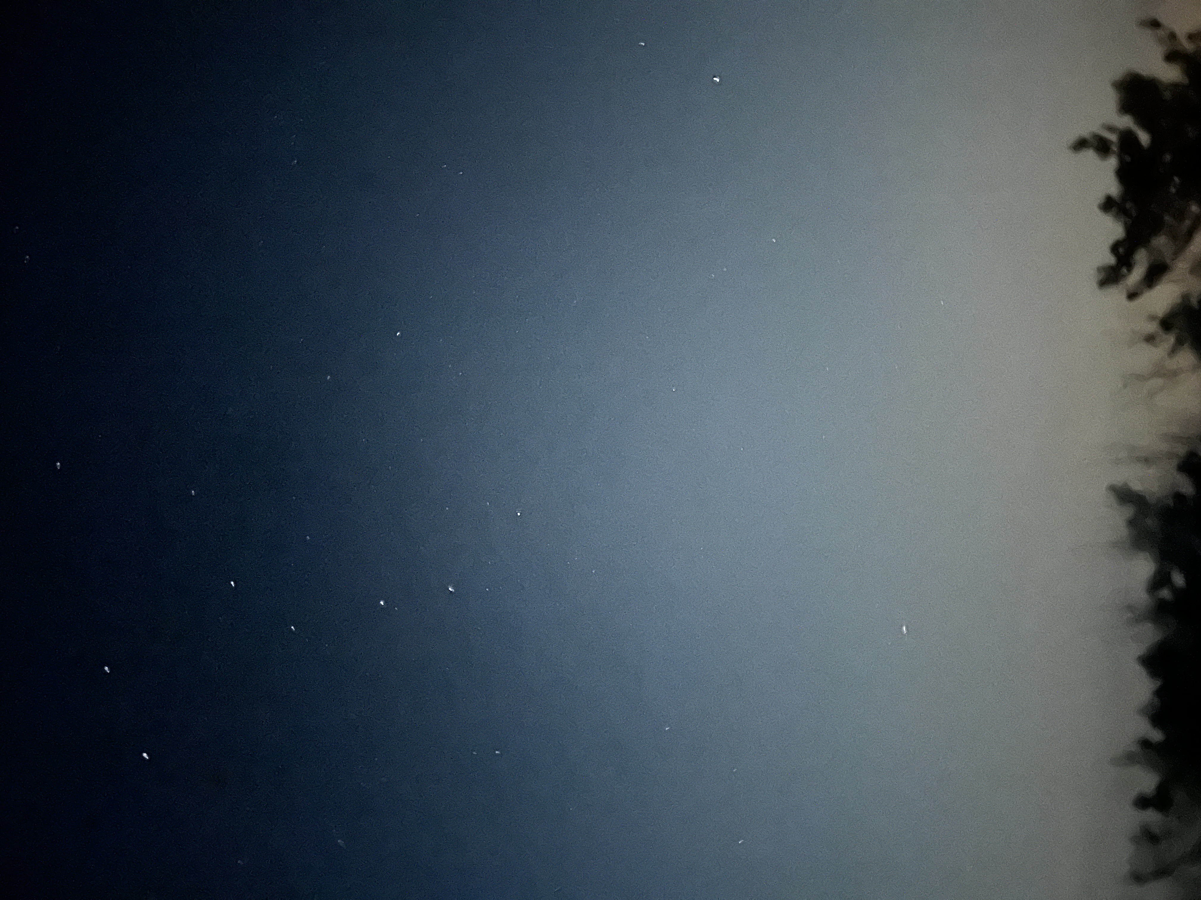 IMG_7921.jpeg