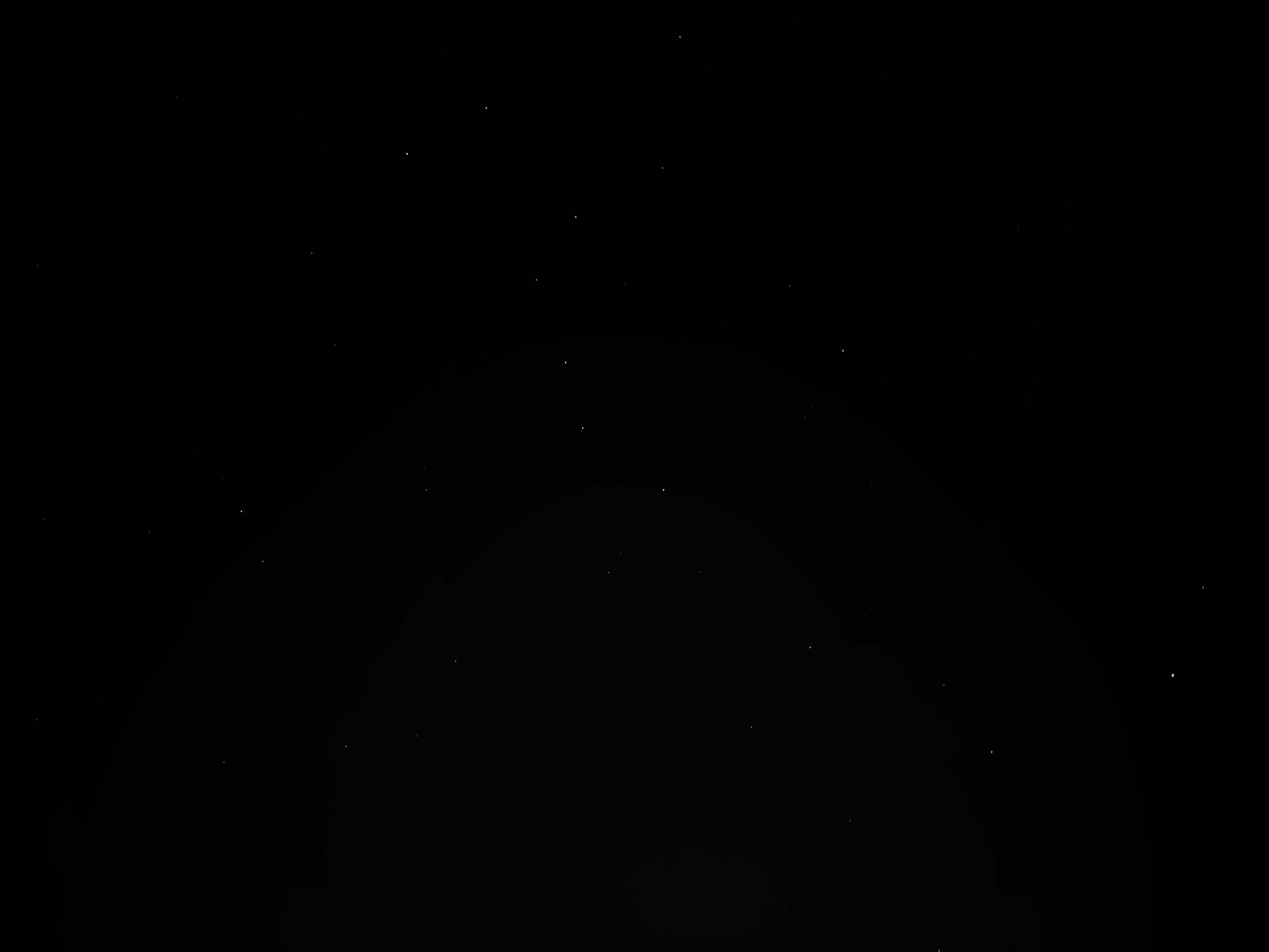 IMG_7883.jpeg