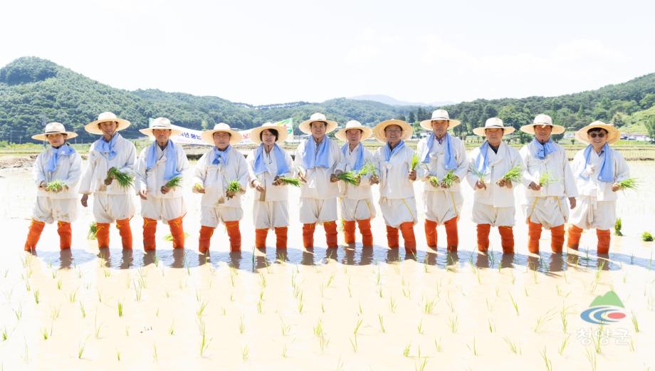 2024년 풍년기원 권농일 손모내기 행사 (2)