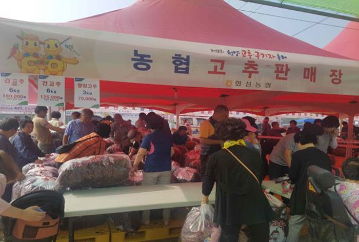 청양군 임시고추판매장 개장