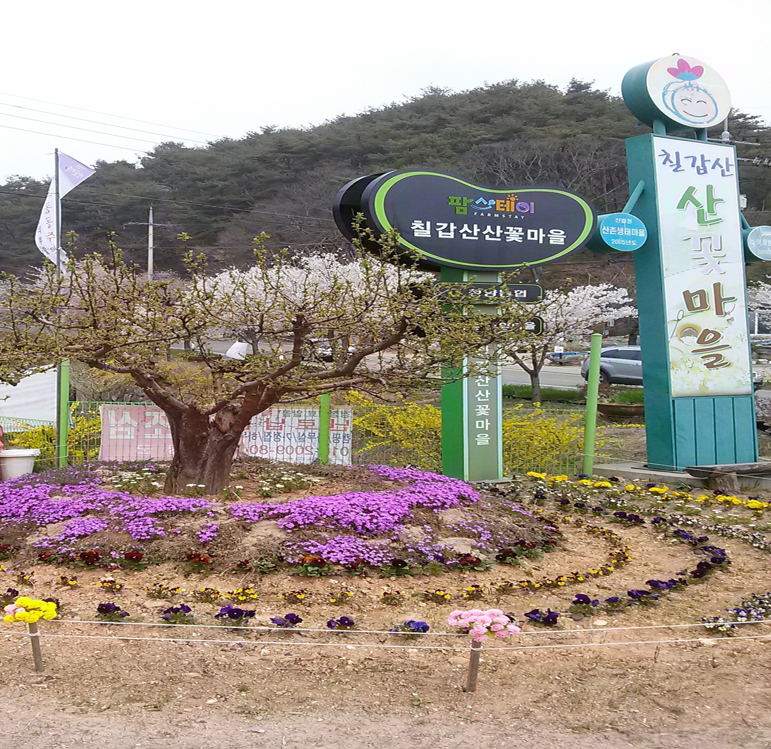 청양에서 살이보기 프로그램 운영(산꽃마을).jpeg
