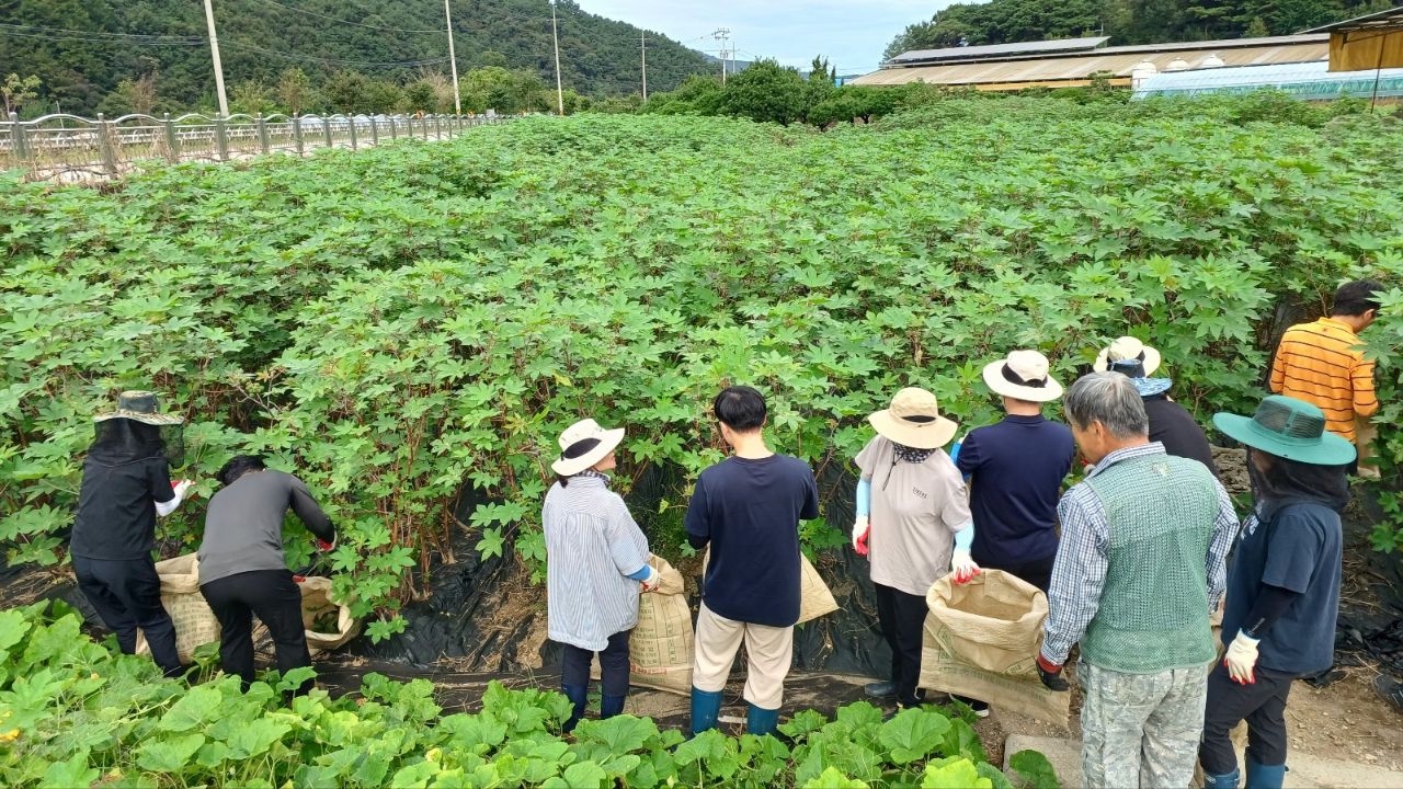 산림자원과 공직자 가을철 농촌일손돕기 추진.jpeg
