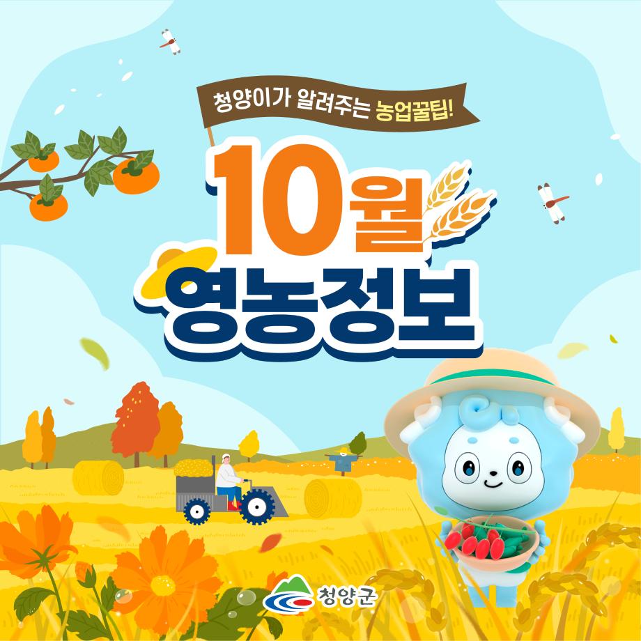 KakaoTalk_20240927_101641143_01