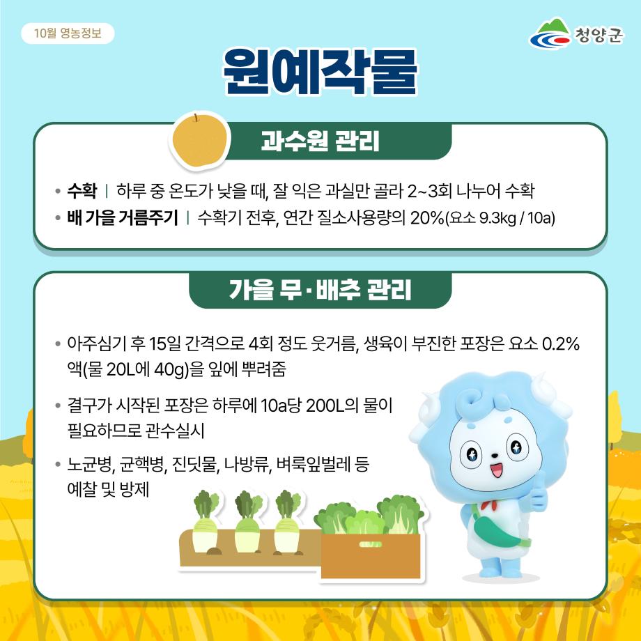 KakaoTalk_20240927_101641143_05