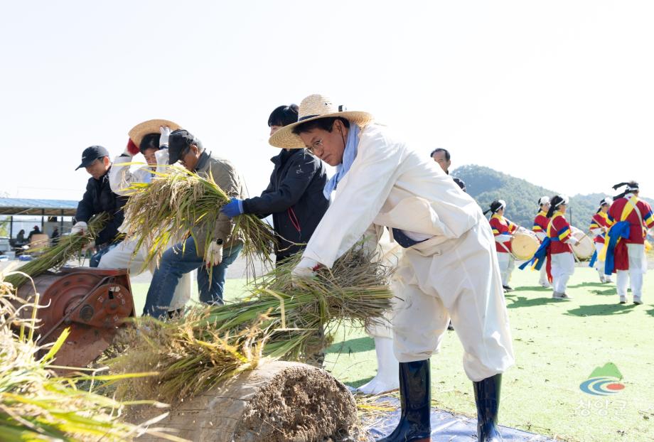 전통농경문화 재현 손벼베기 및 탈곡 체험행사  (03)
