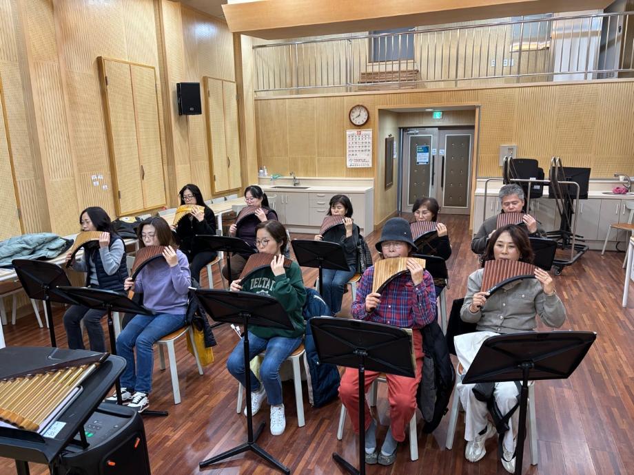 팬플룻5