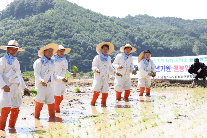 3. 농촌지도자 청양군연합회 ‘권농일 손모내기’ 행사 열어 (3)