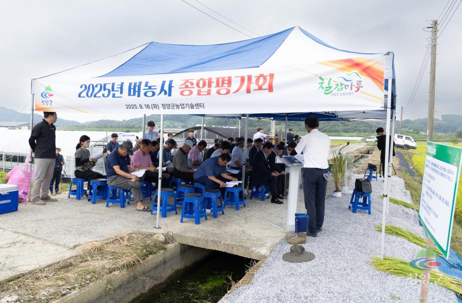 2025년 벼농사 종합평가회(31)