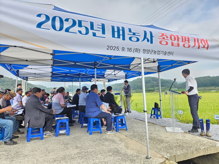 2. 청양군  2025년 벼농사 평가회 개최.jpeg