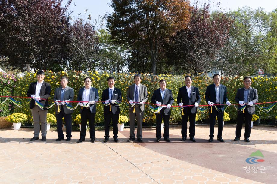 청양군 국화꽃 전시회_(0001)