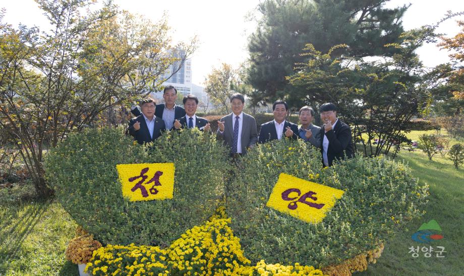 청양군 국화꽃 전시회_(00000)