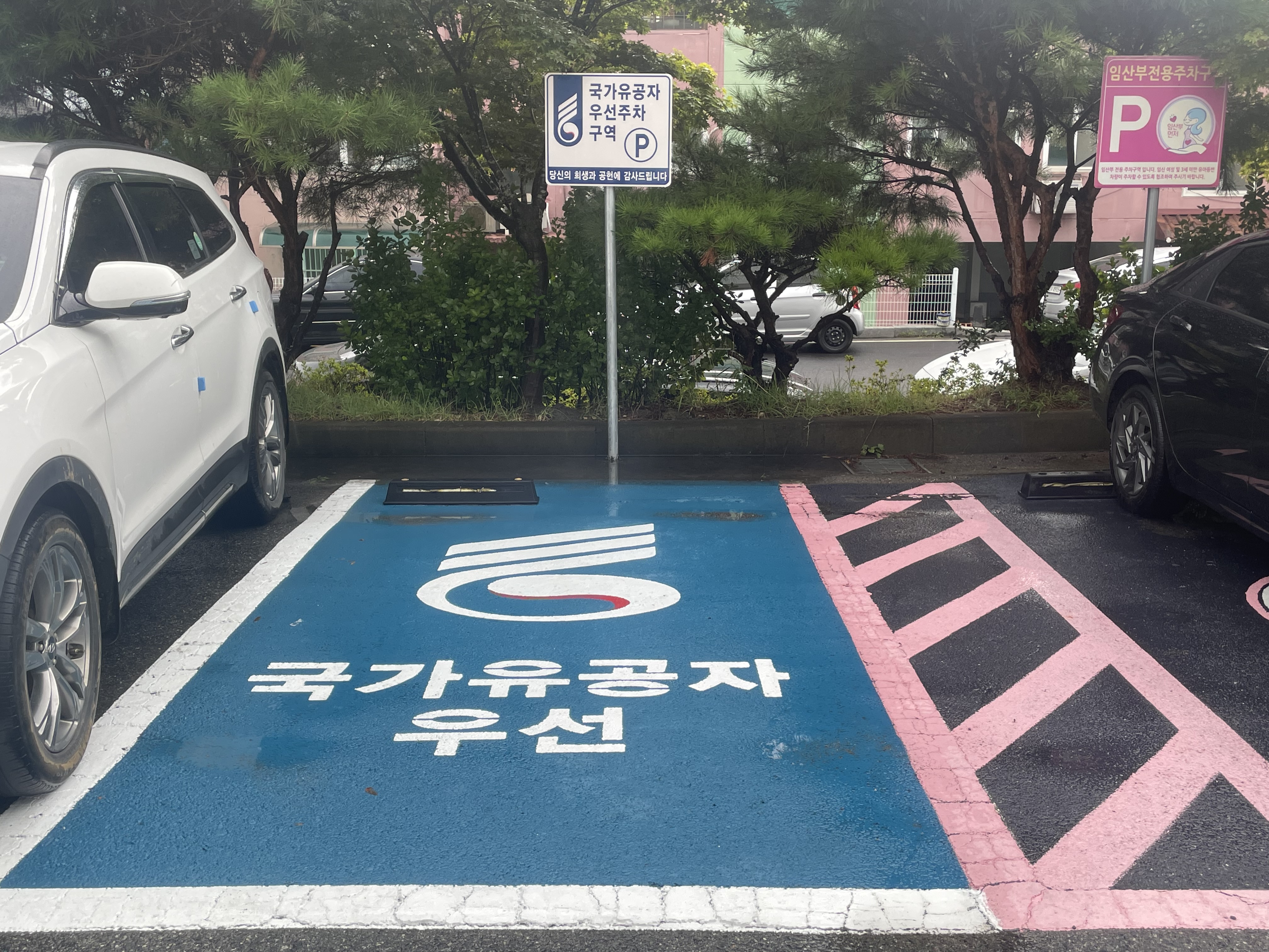 4. 청양군  군청사 이어 의료원에 ‘국가유공자 우선주차’ 신설.jpeg