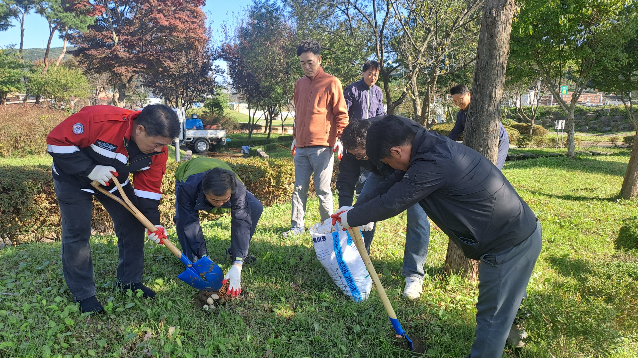 3. 청양군  건강한 숲 만들기 총력… 비료주기·잡초 제거·환경정비 병행(1).jpeg
