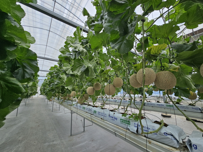 2. 청양군  스마트농업 테스트베드 교육장 경진대회 ‘최우수’(1).jpeg