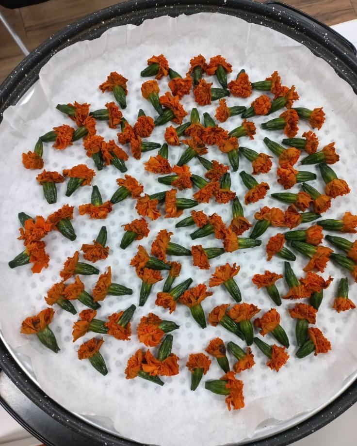 BandPhoto_2025_07_15_09_22_30