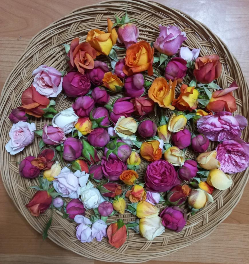 BandPhoto_2025_09_04_15_10_20