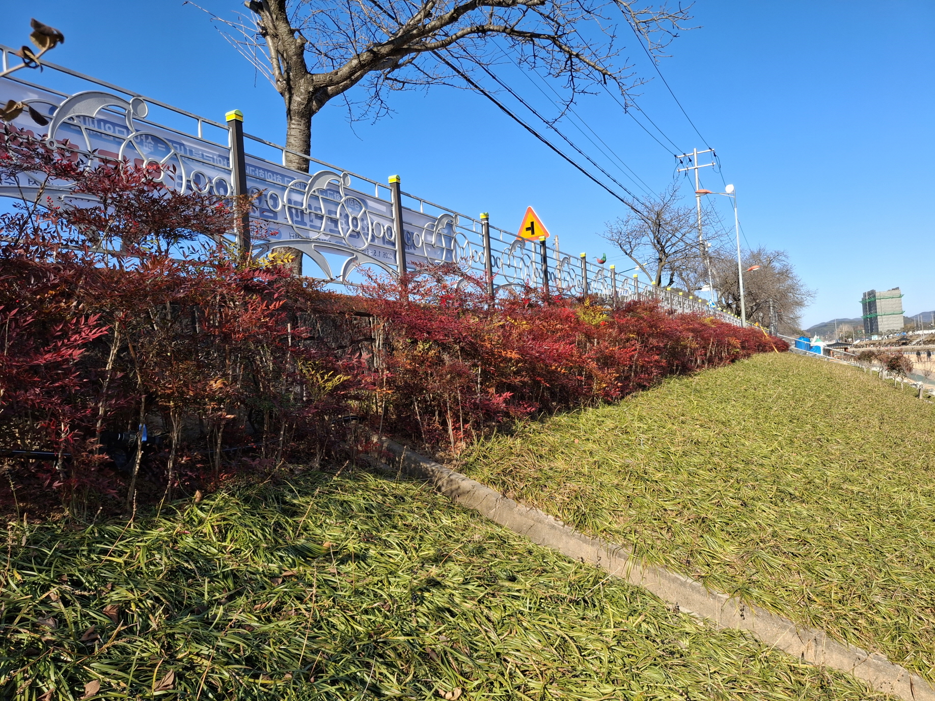 1. 청양군  “황톳길 걷고 꽃길 거닐며 힐링하세요”(2-1)