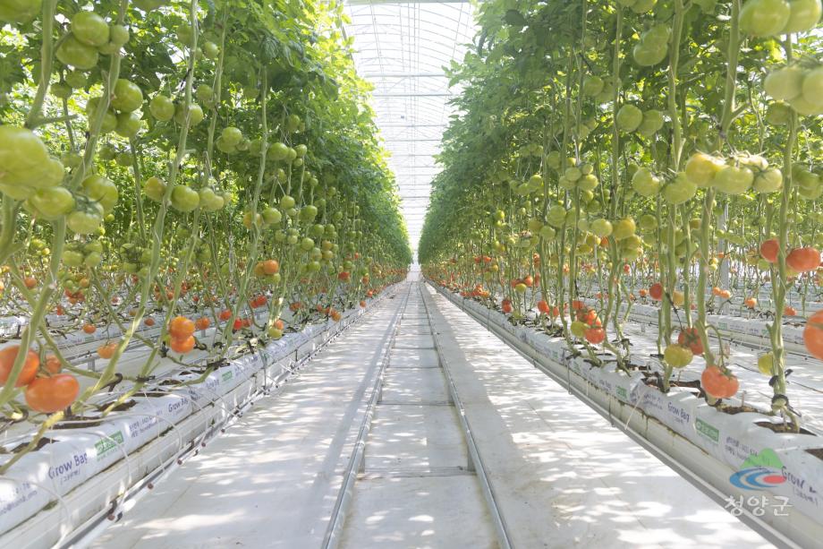 청양군 스마트팜 현장방문(8)