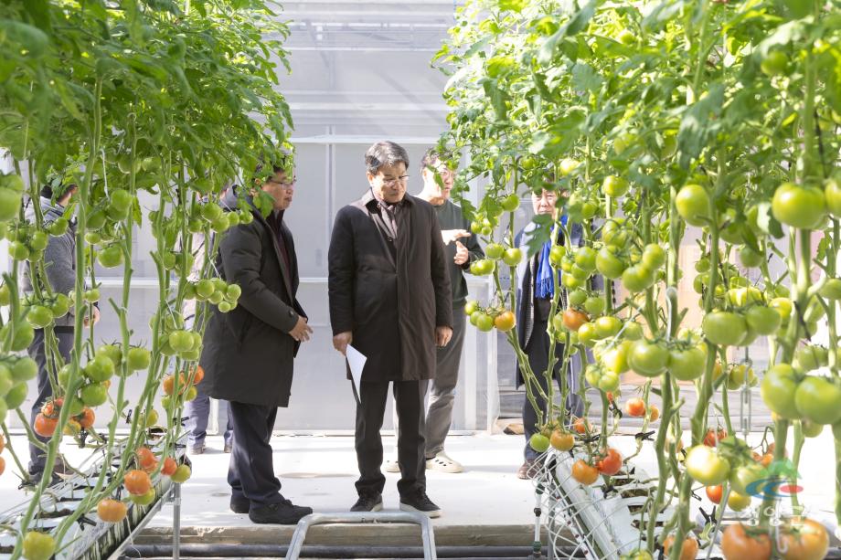 청양군 스마트팜 현장방문(12)