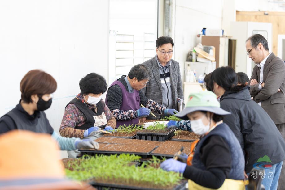 청양농업기술센터 육묘장 방문(14)