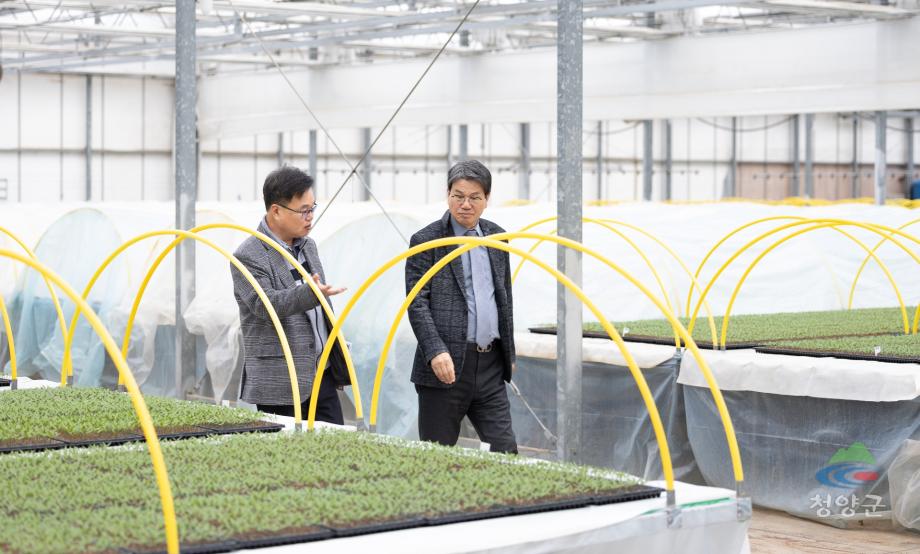 청양농업기술센터 육묘장 방문(19)
