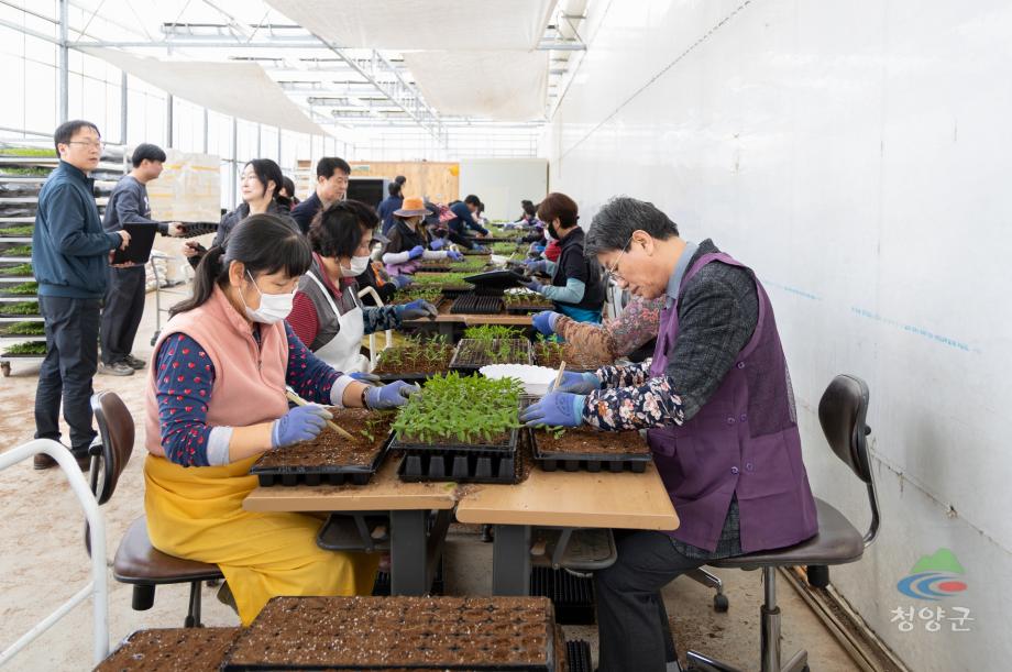 청양농업기술센터 육묘장 방문(32)