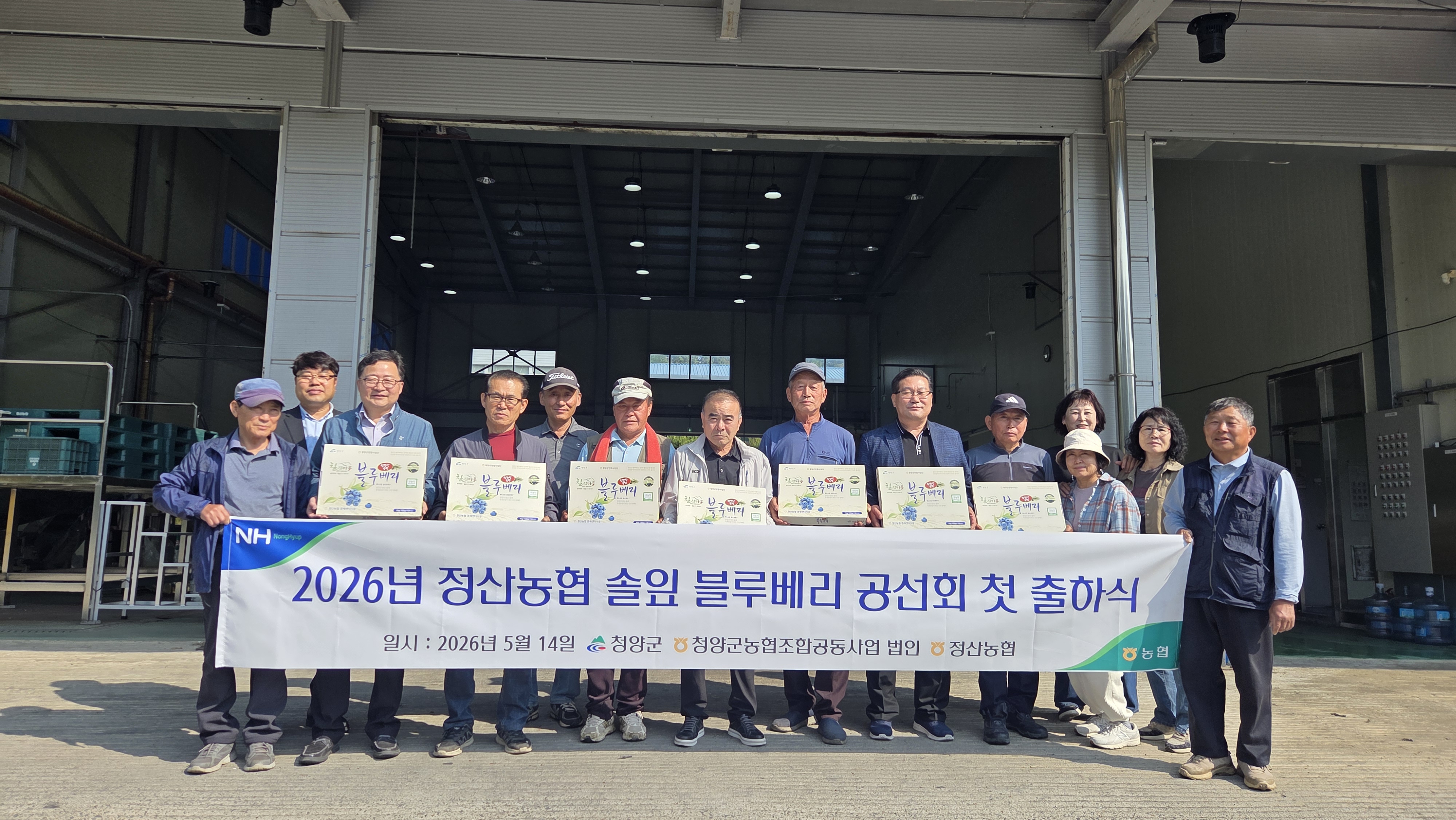 1. 청양군, 명품 블루베리 본격 출하… 대도시 입맛 잡는다(1-2).jpeg