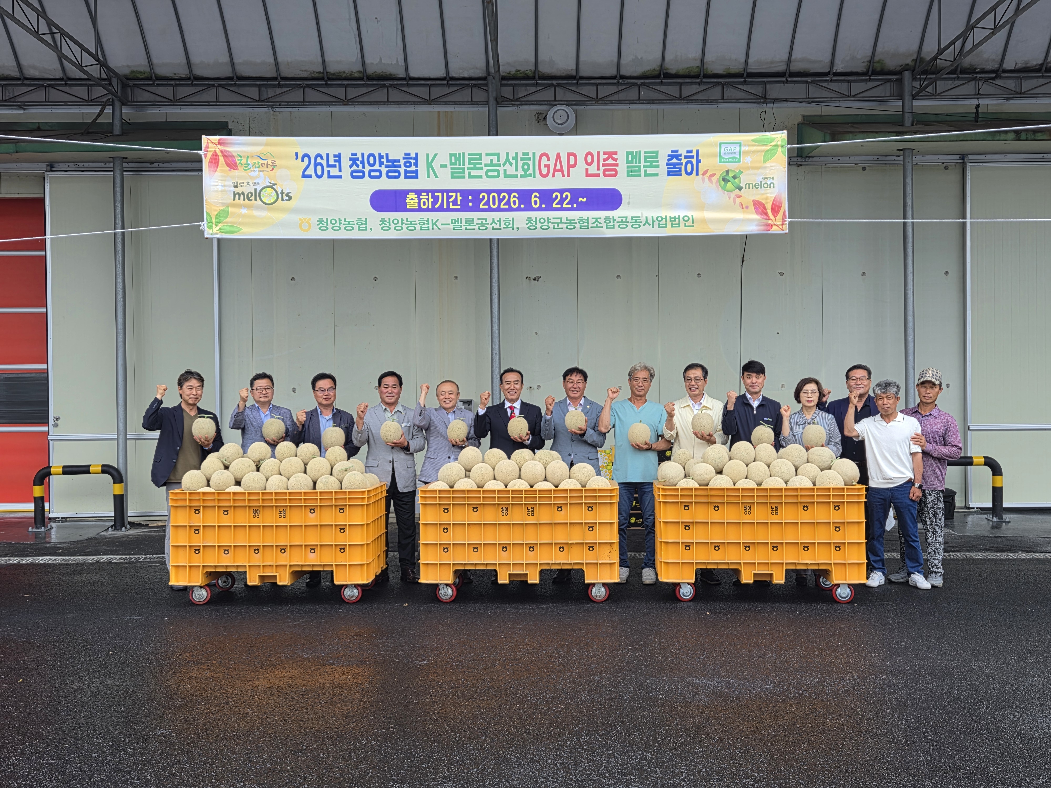 1. 청양군, ‘전국 유일 S급 프리미엄’ 멜론 본격 출하… 올해 15억 매출 기대(1-1).jpeg