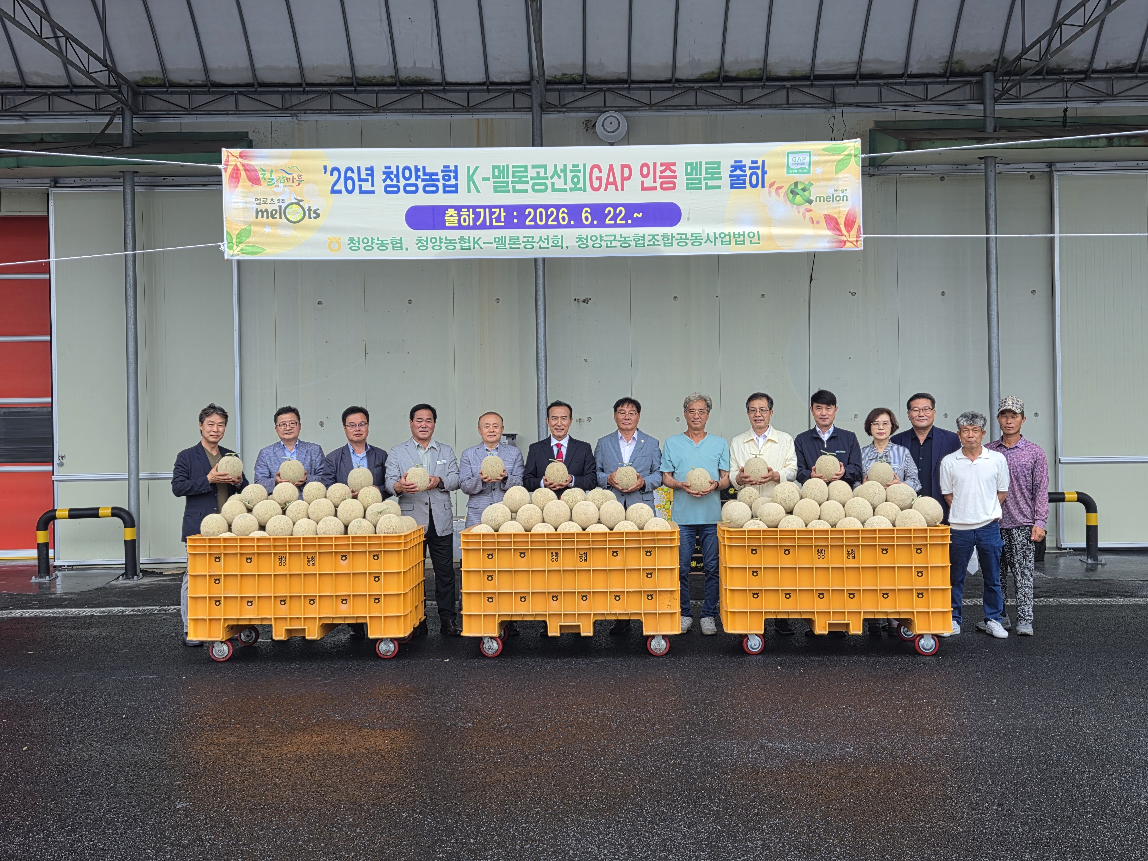 1. 청양군, ‘전국 유일 S급 프리미엄’ 멜론 본격 출하… 올해 15억 매출 기대(1-2).jpeg